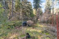 16470 Jamison Creek Road, BoulderCreek, CA 95006