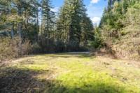 16470 Jamison Creek Road, BoulderCreek, CA 95006