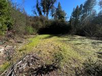 16470 Jamison Creek Road, BoulderCreek, CA 95006
