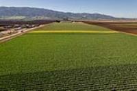 Salinas, CA 93908