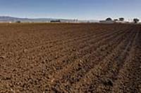 Salinas, CA 93908