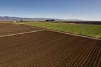Salinas, CA 93908