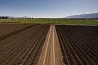 Salinas, CA 93908