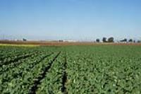 Salinas, CA 93908