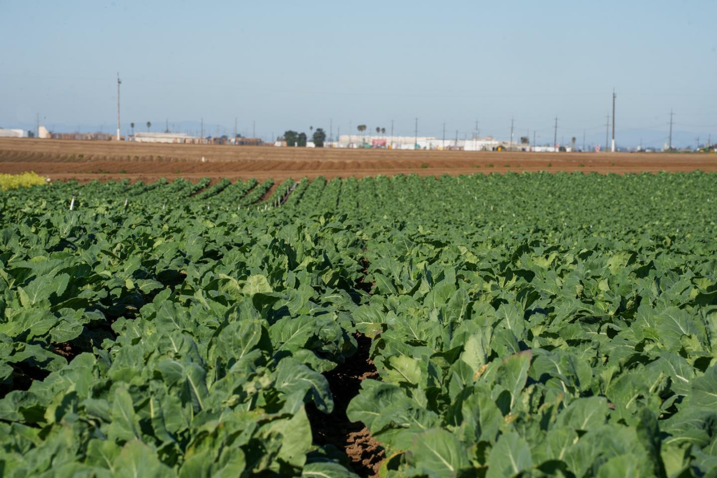 Salinas, CA 93908