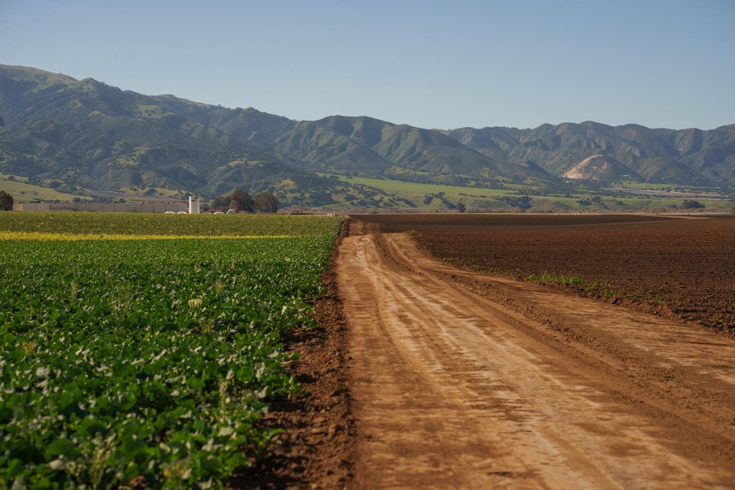 Salinas, CA 93908