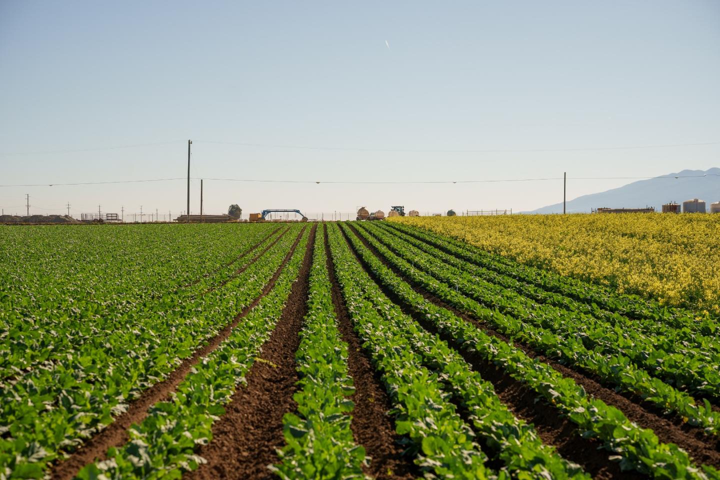 Salinas, CA 93908