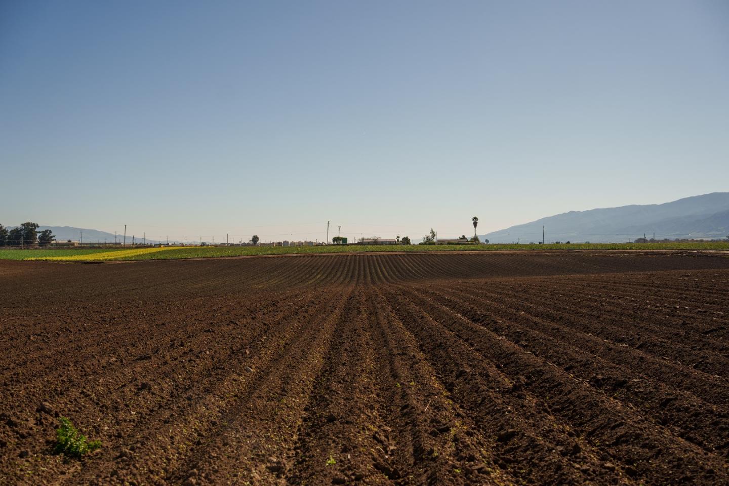 Salinas, CA 93908