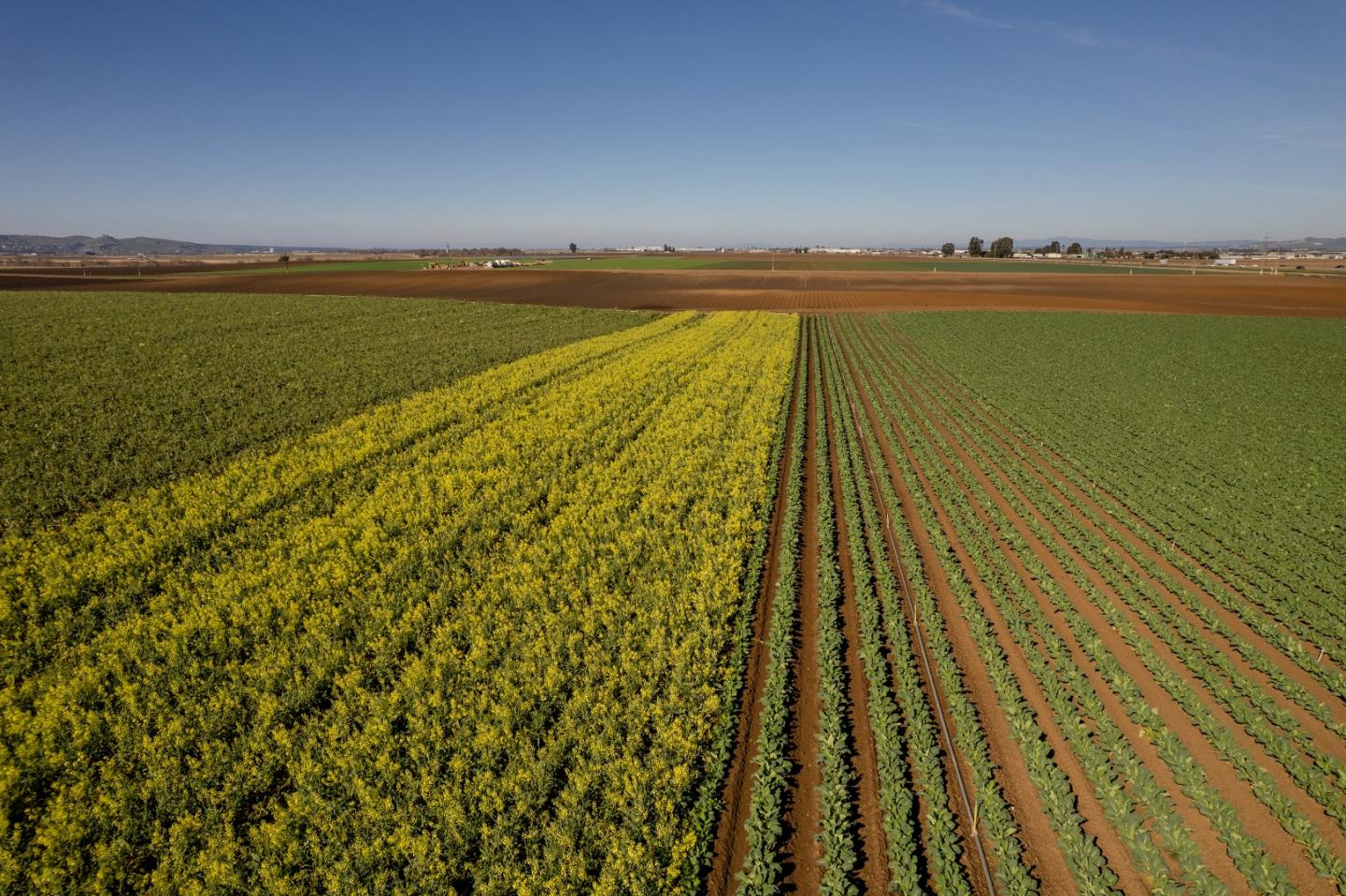 Salinas, CA 93908