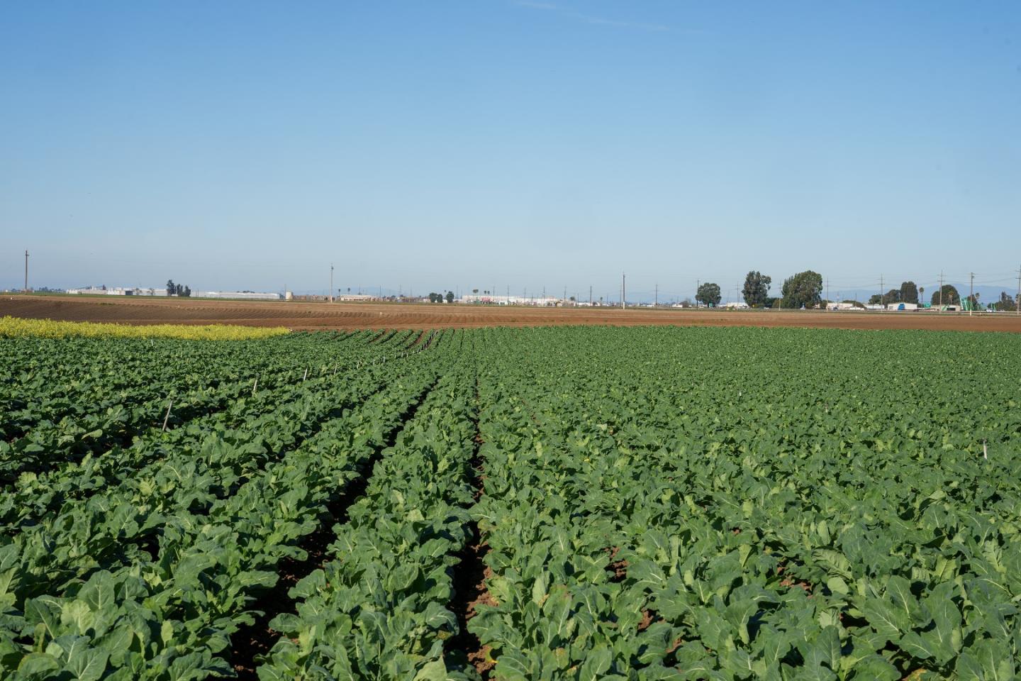 Salinas, CA 93908