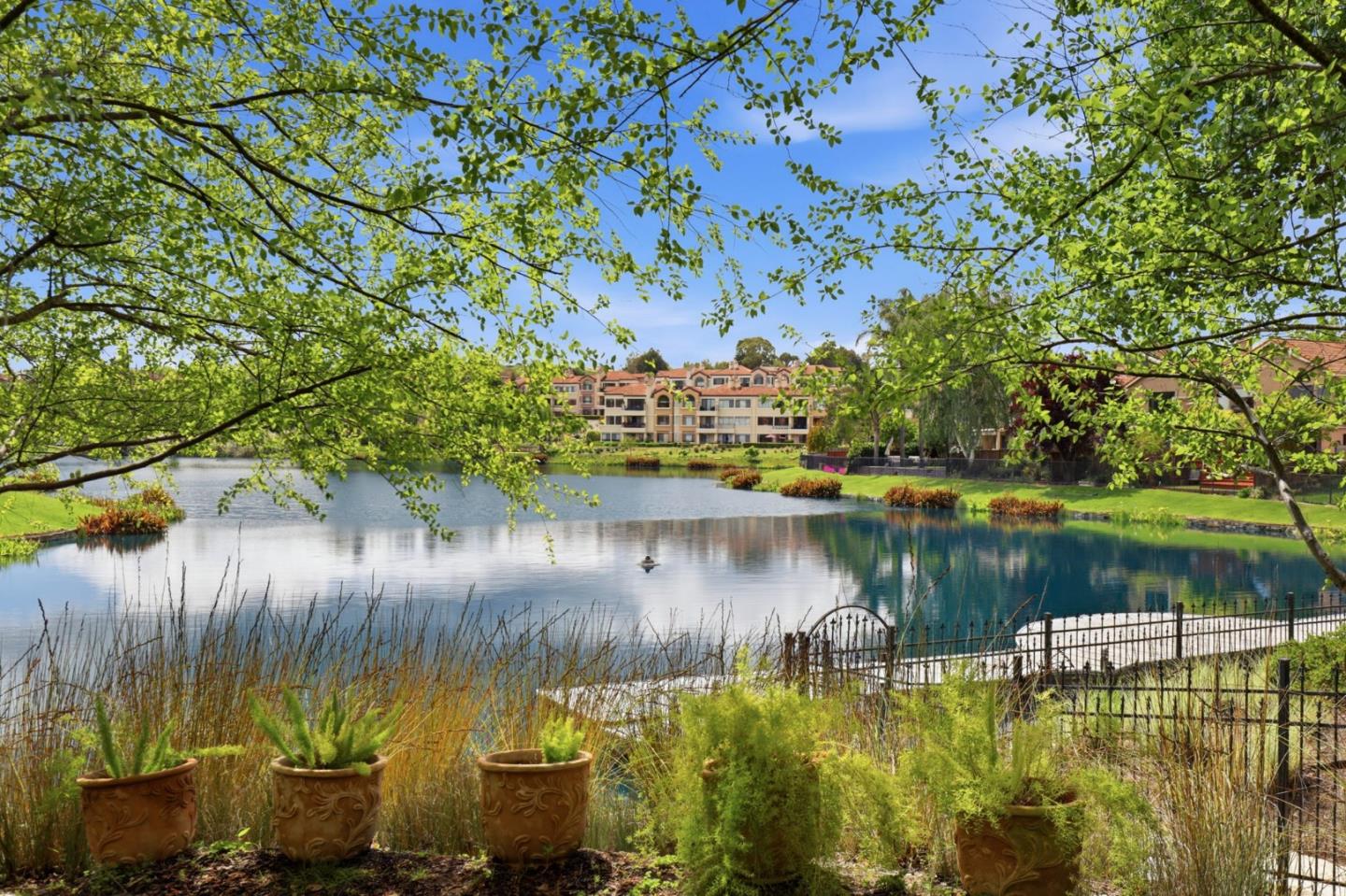 719 Lakemont Place, #3, San Ramon, CA 94582