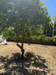 488 East Childs Avenue, Merced, CA 95341