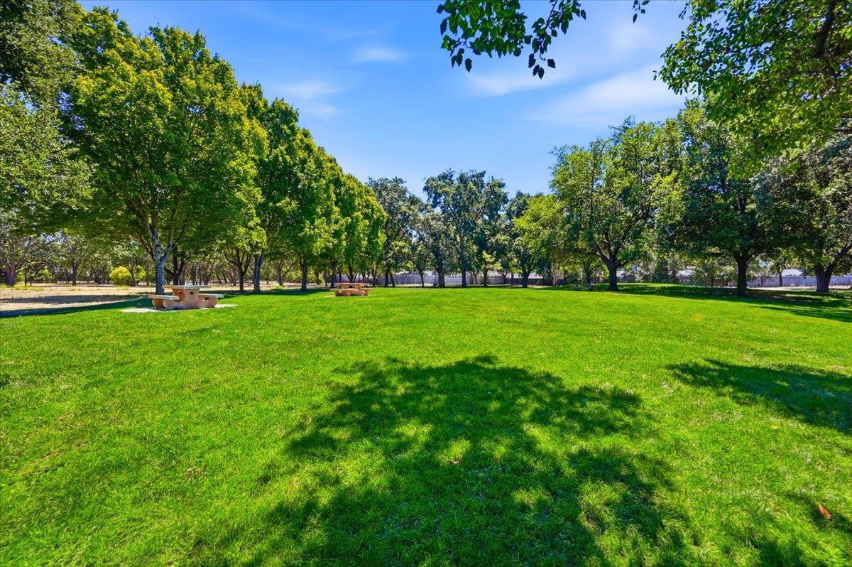 2700 Oak Road, #11, Walnut Creek, CA 94597