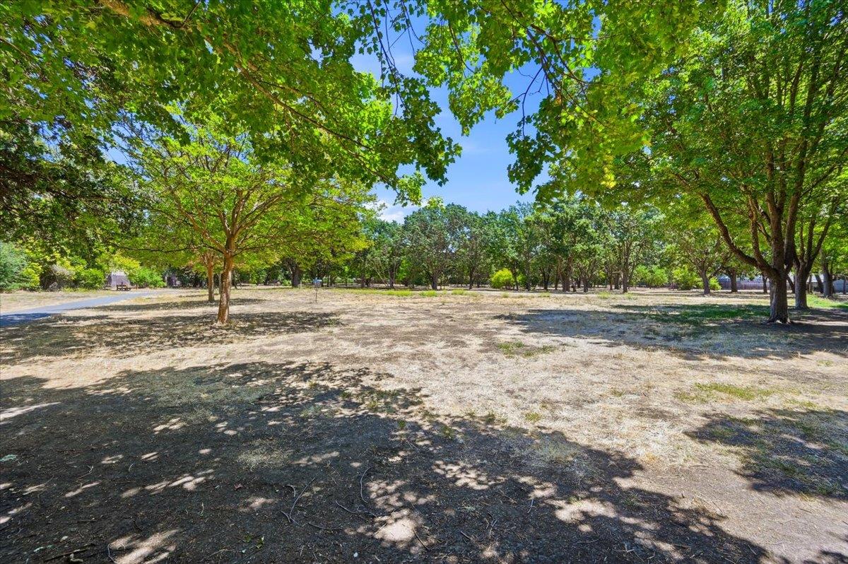 2700 Oak Road, #11, Walnut Creek, CA 94597