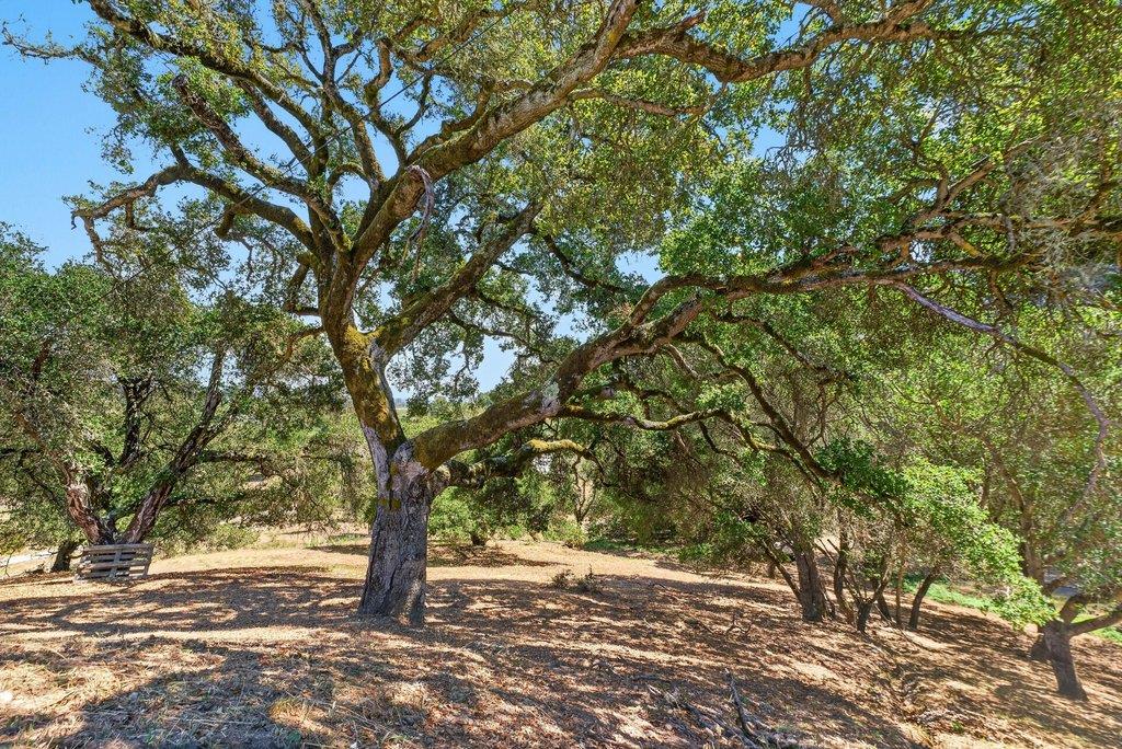 75 Skylark Lane, Watsonville, CA 95076