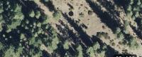 976 Moon Shadow, Portola, CA 96122