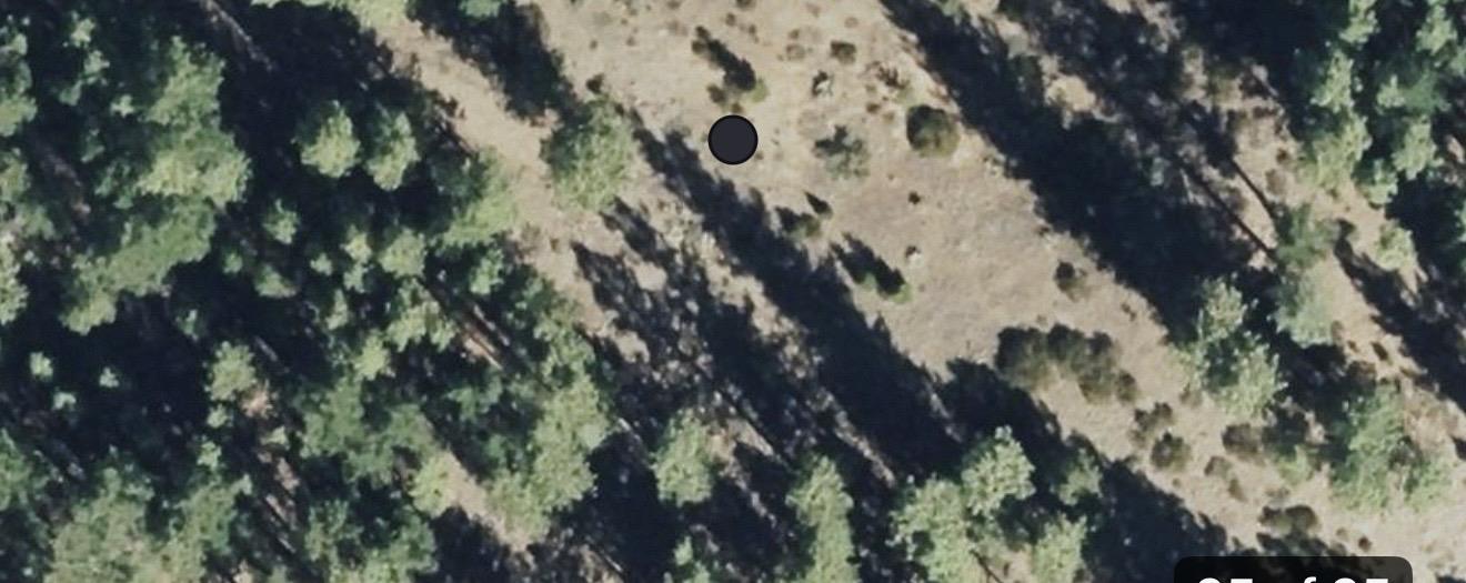 976 Moon Shadow, Portola, CA 96122