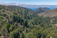 59755 Garrapatos Road, BigSur, CA 93920