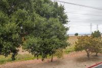 3 Bay Landing, SanMateo, CA 94401