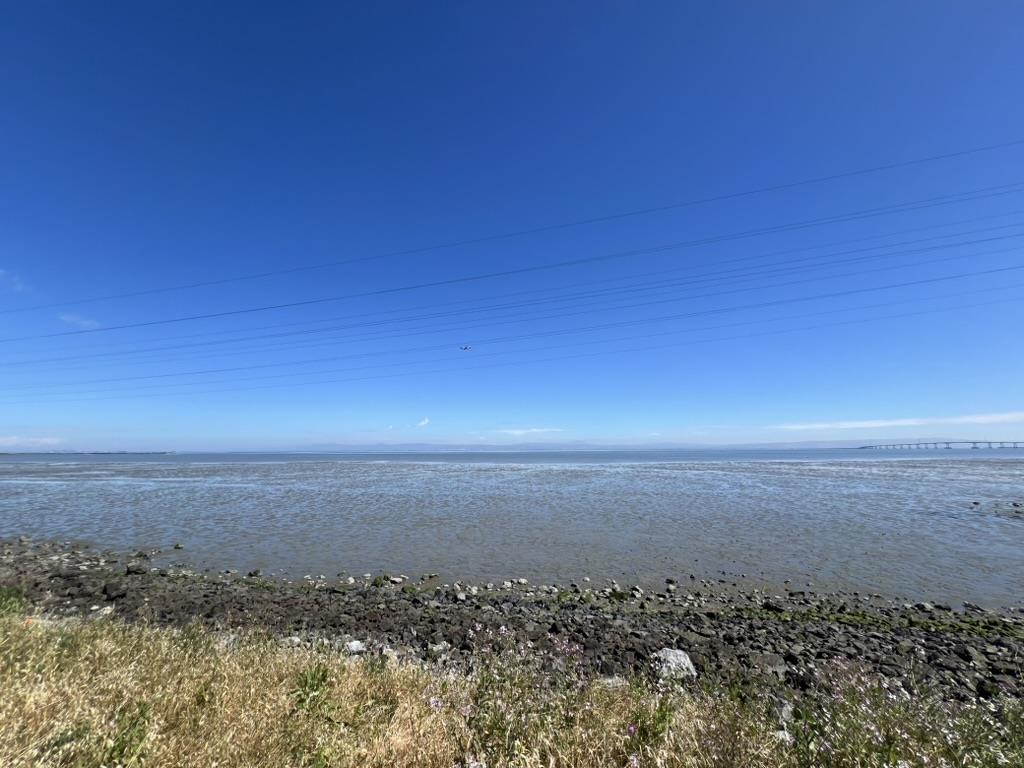 3 Bay Landing, SanMateo, CA 94401