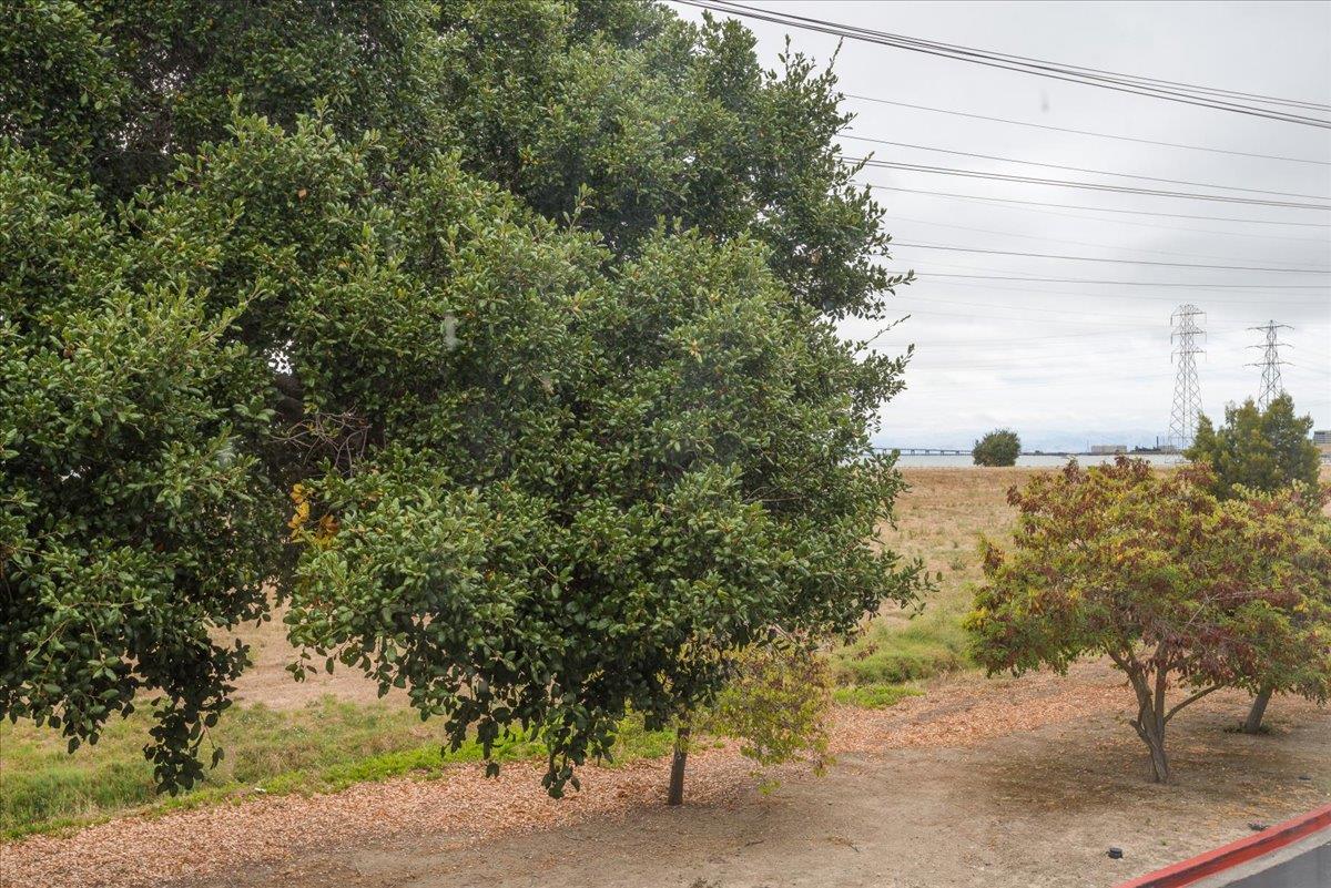 3 Bay Landing, SanMateo, CA 94401