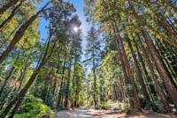 200 Marthas Way, Aptos, CA 95003