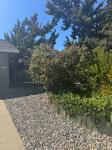 4069 Partridge Drive, SanJose, CA 95121