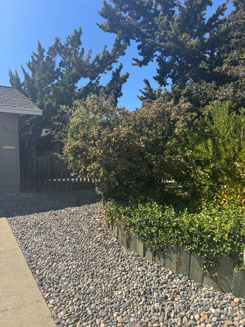 4069 Partridge Drive, SanJose, CA 95121
