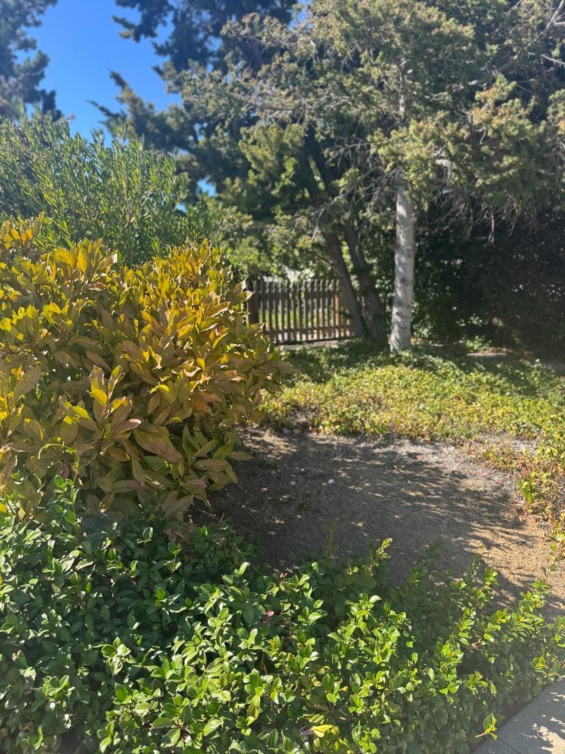 4069 Partridge Drive, SanJose, CA 95121