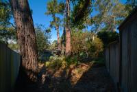 1019 Hillside Avenue, PacificGrove, CA 93950