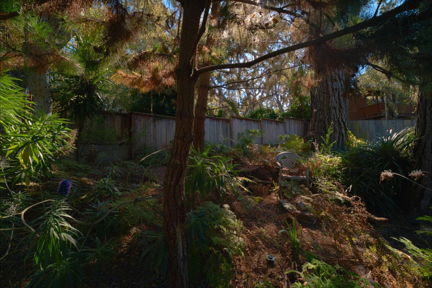 1019 Hillside Avenue, PacificGrove, CA 93950