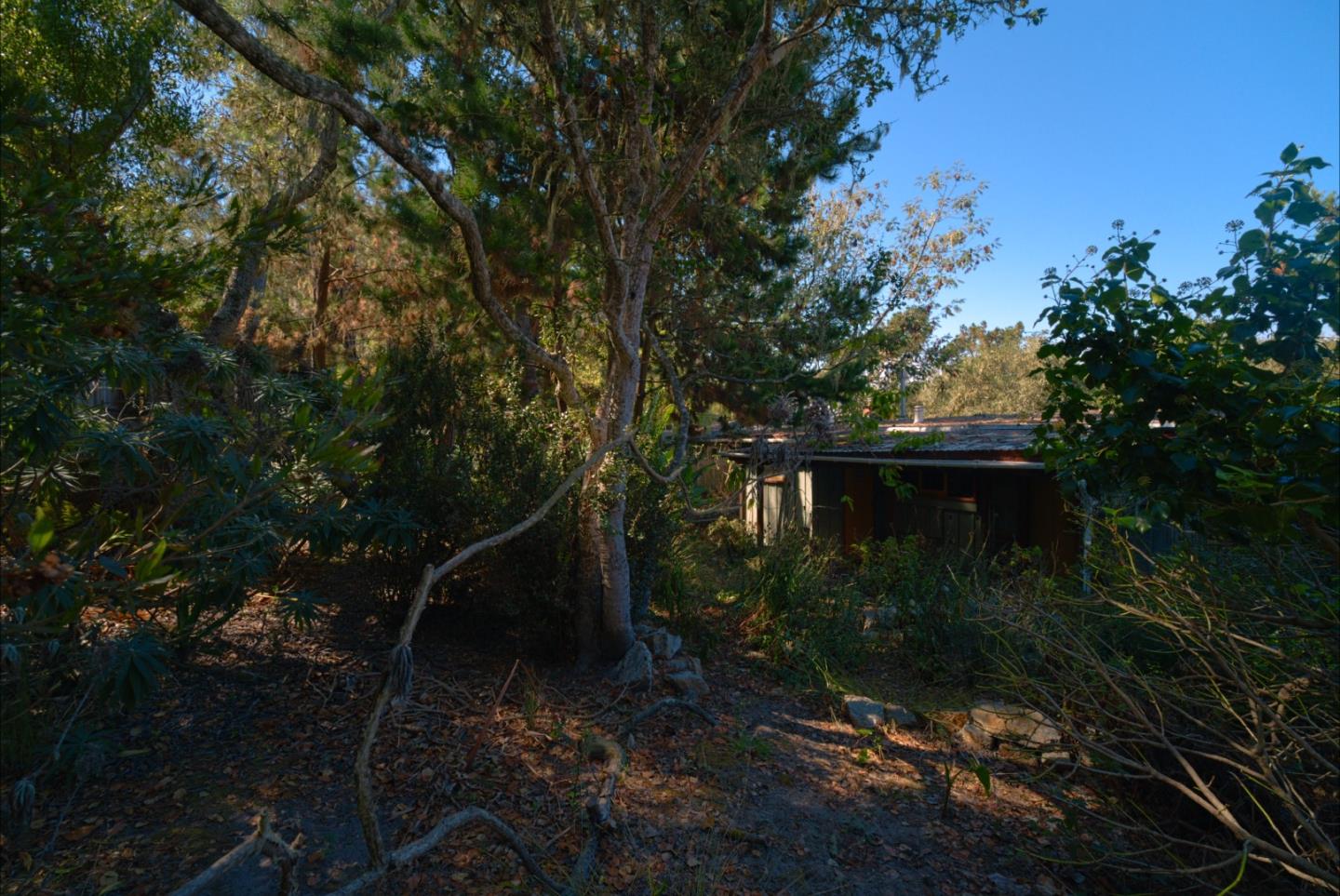 1019 Hillside Avenue, PacificGrove, CA 93950