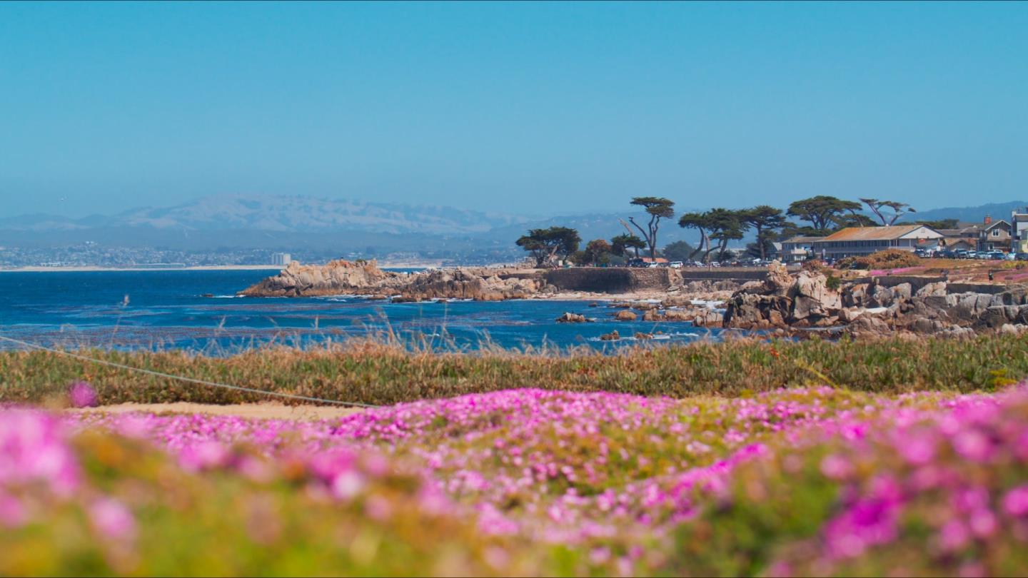1019 Hillside Avenue, PacificGrove, CA 93950