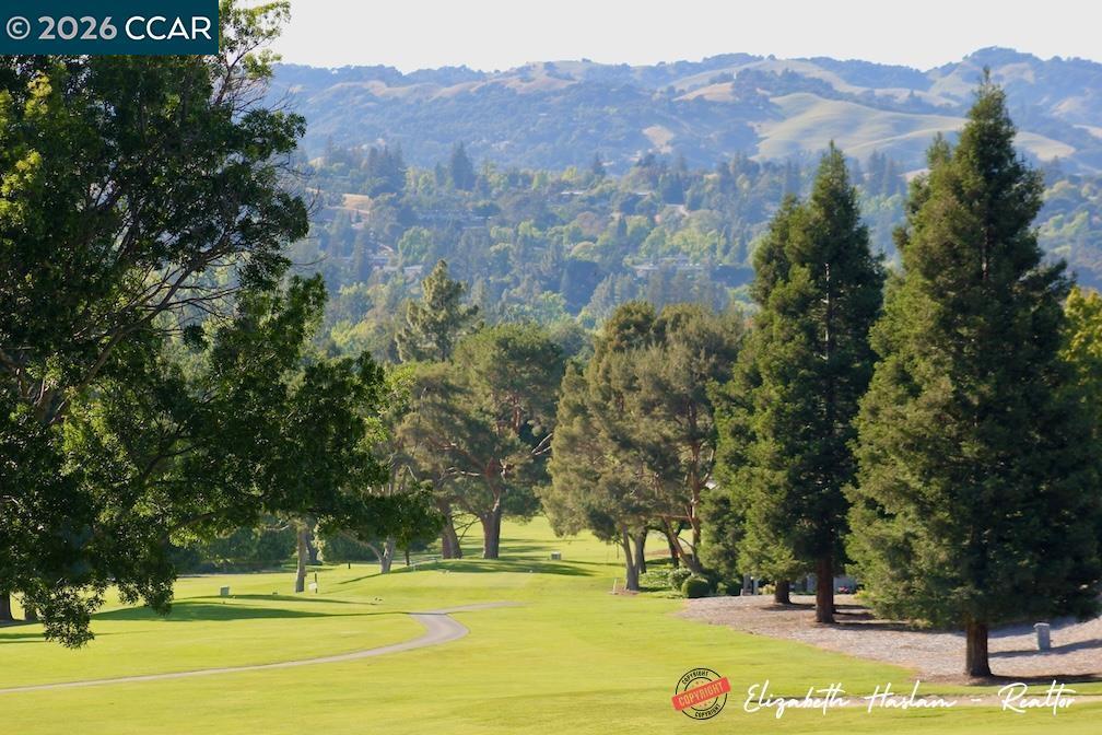 1201 Running springs Road, #4, Walnut Creek, CA 94595