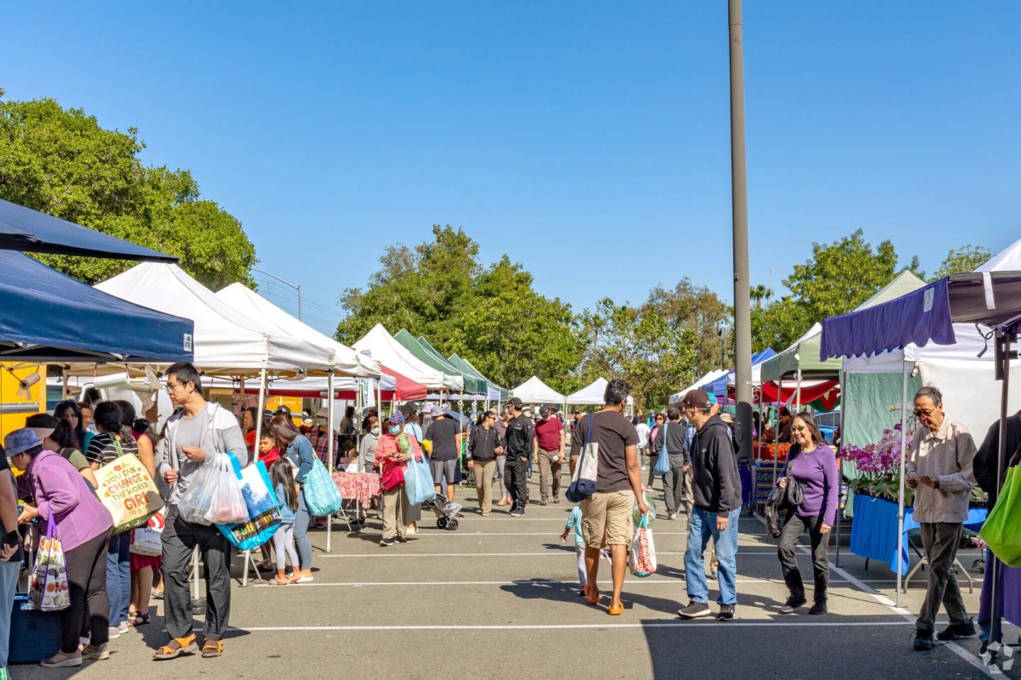 2118 Cuesta Drive, Milpitas, CA 95035