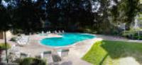 395 Imperial Way, #350, DalyCity, CA 94015
