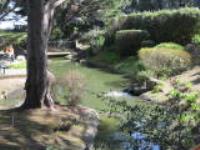 395 Imperial Way, #350, DalyCity, CA 94015