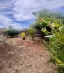 16158 Via Walter, SanLorenzo, CA 94580