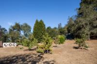 5752 Freedom Boulevard, Aptos, CA 95003