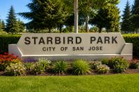 703 Hibiscus Place, SanJose, CA 95117